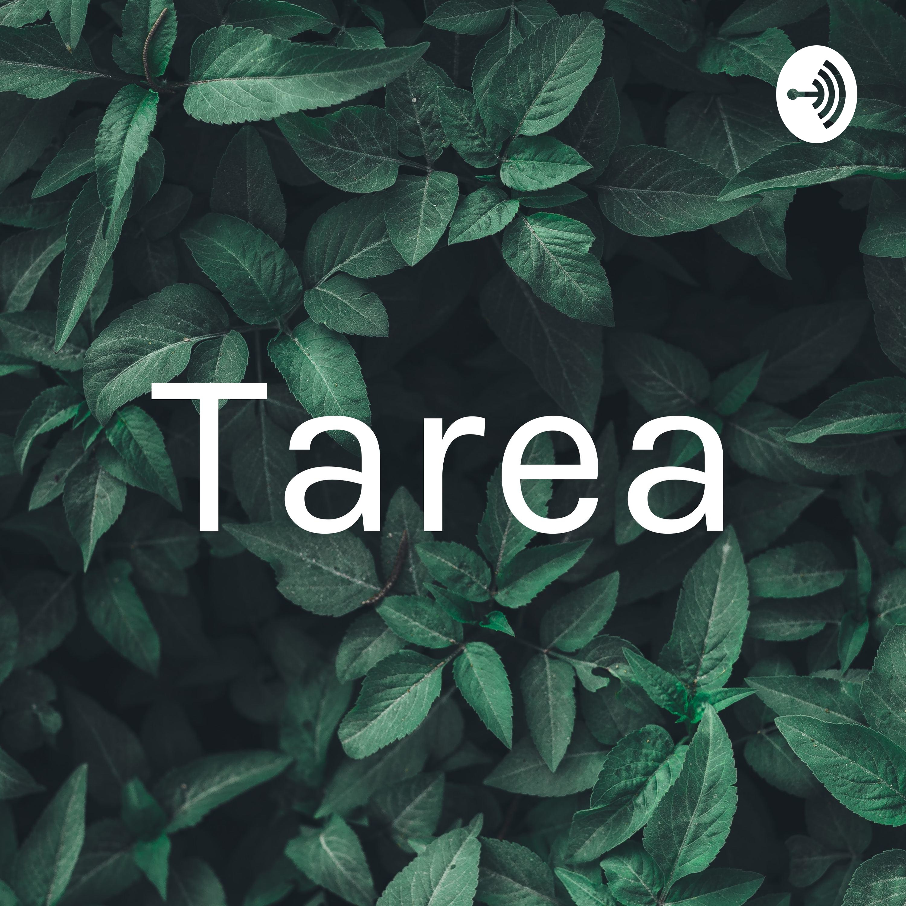 Tarea