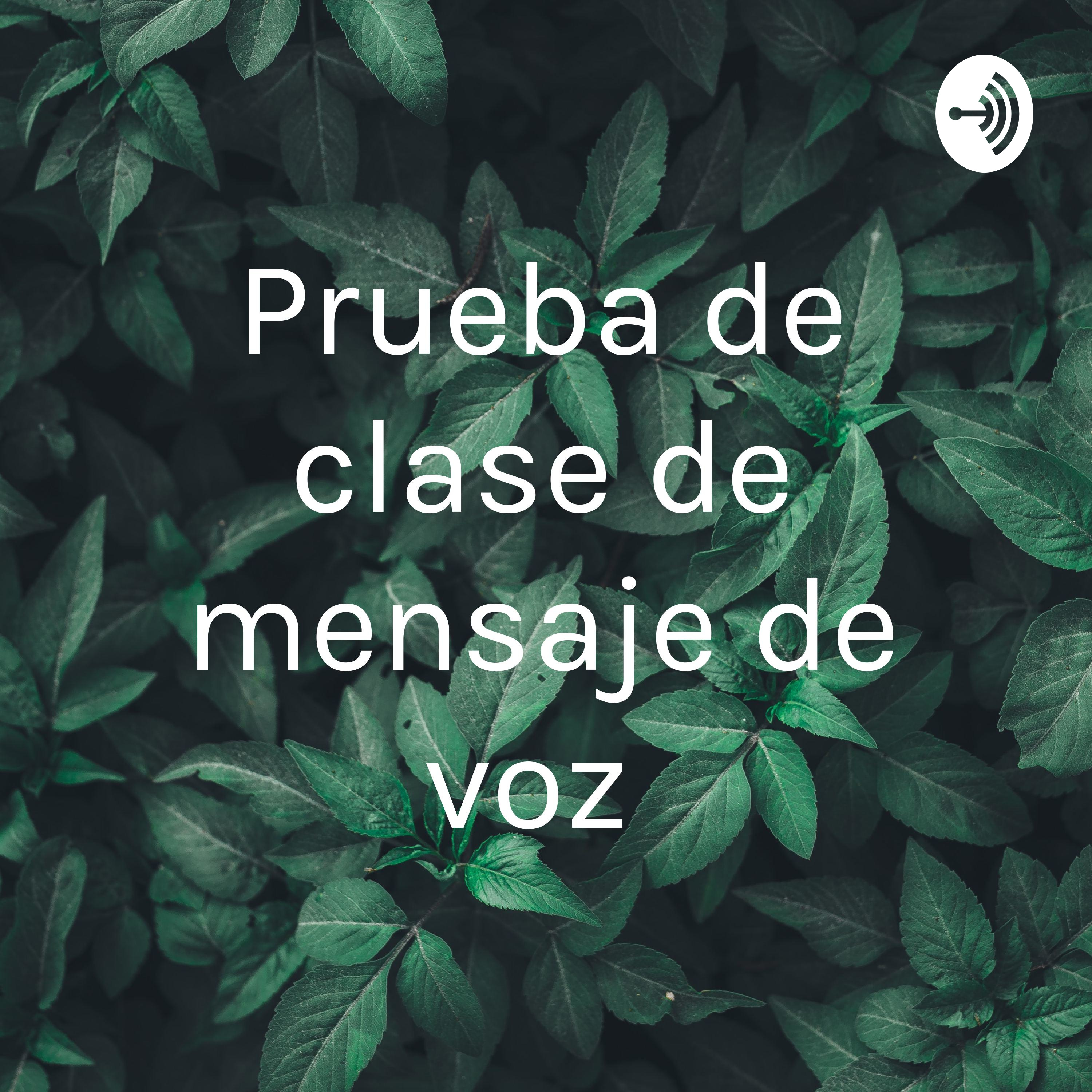 Prueba de clase de mensaje de voz 