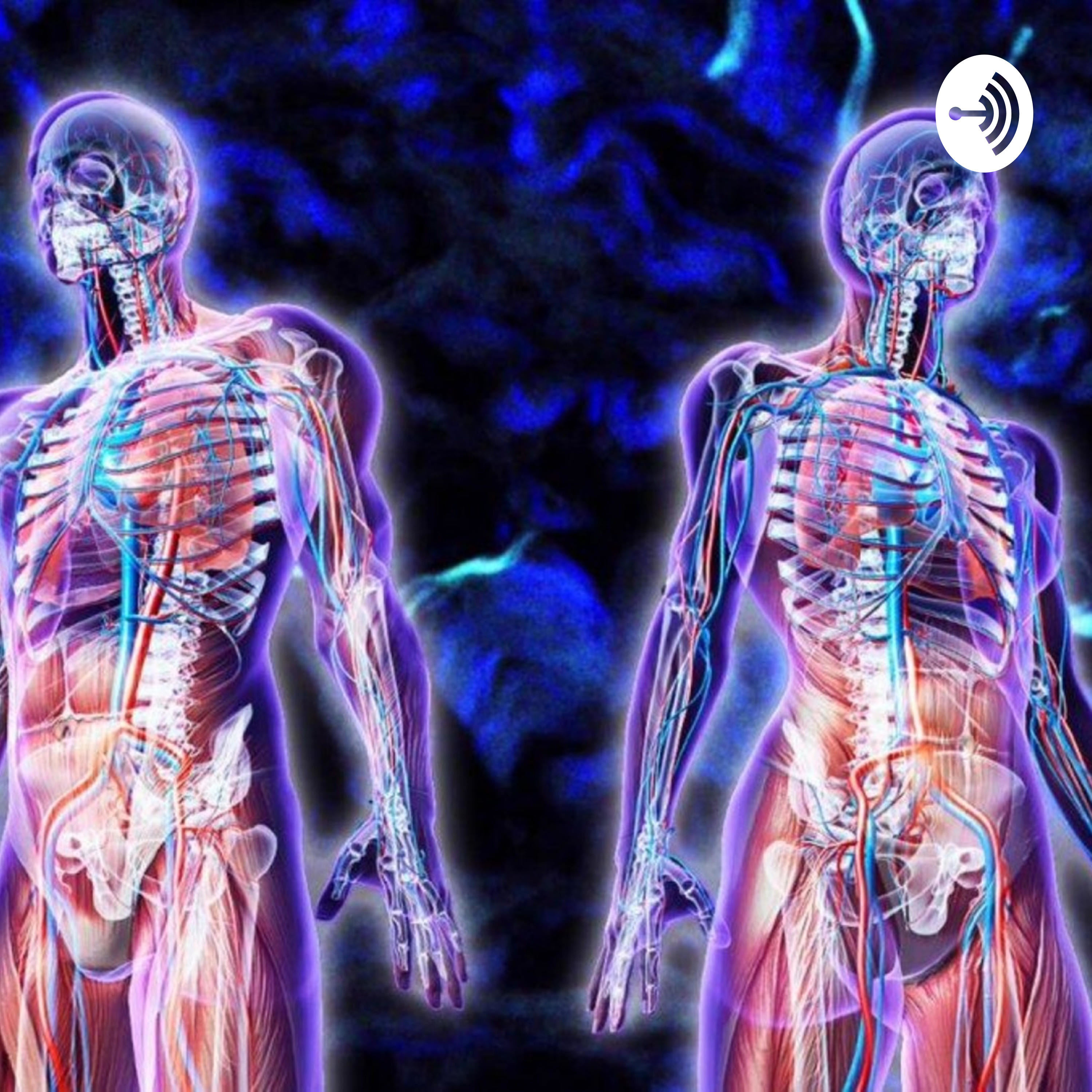 EL CUERPO HUMANO podcast artwork