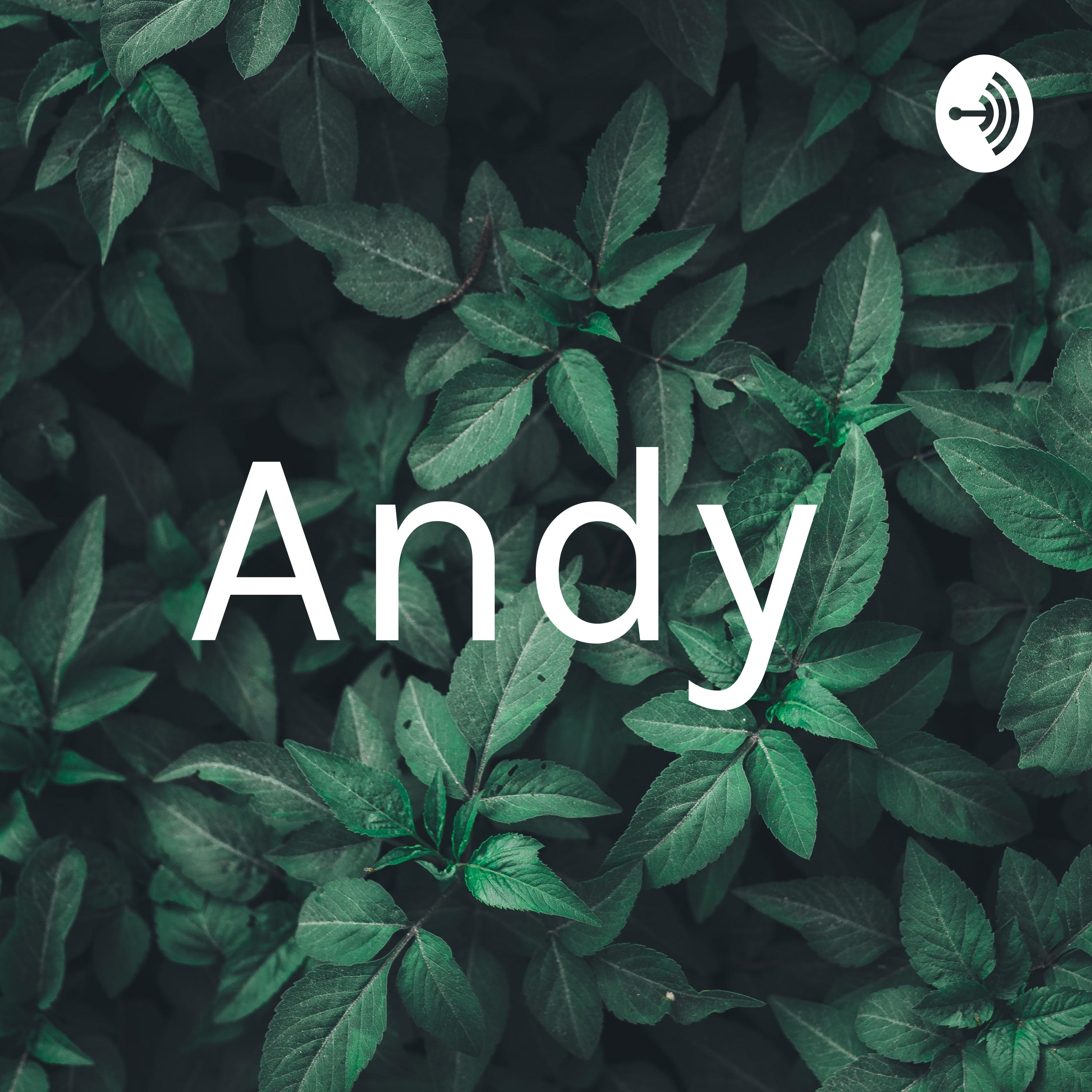 Andy 