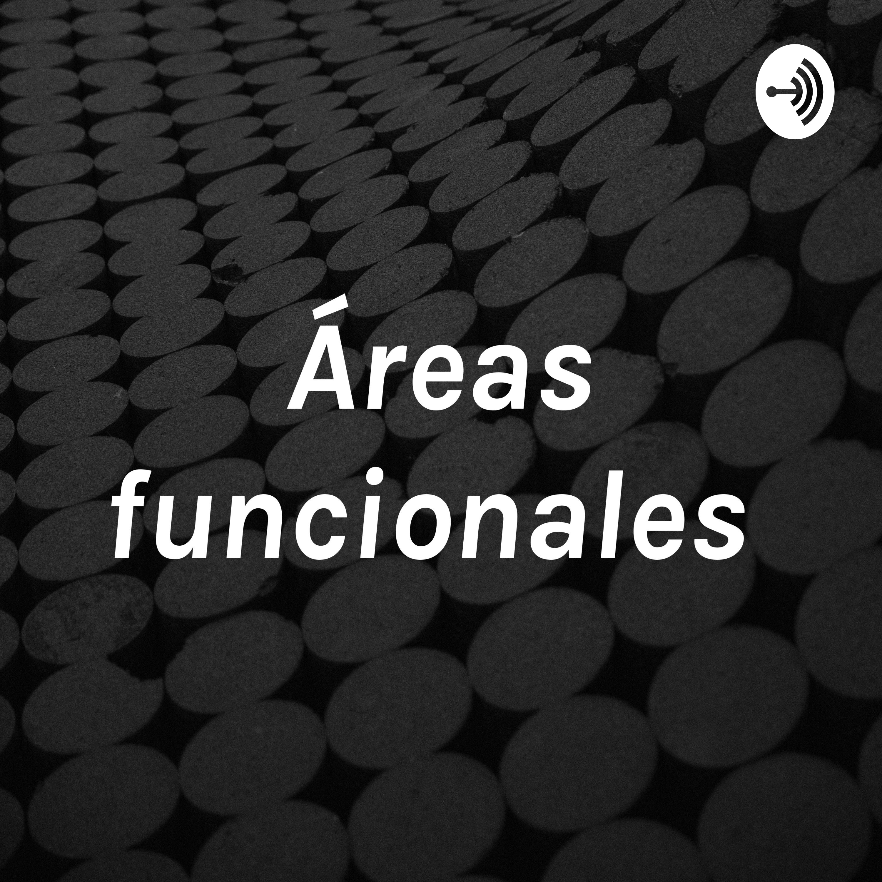 Áreas funcionales