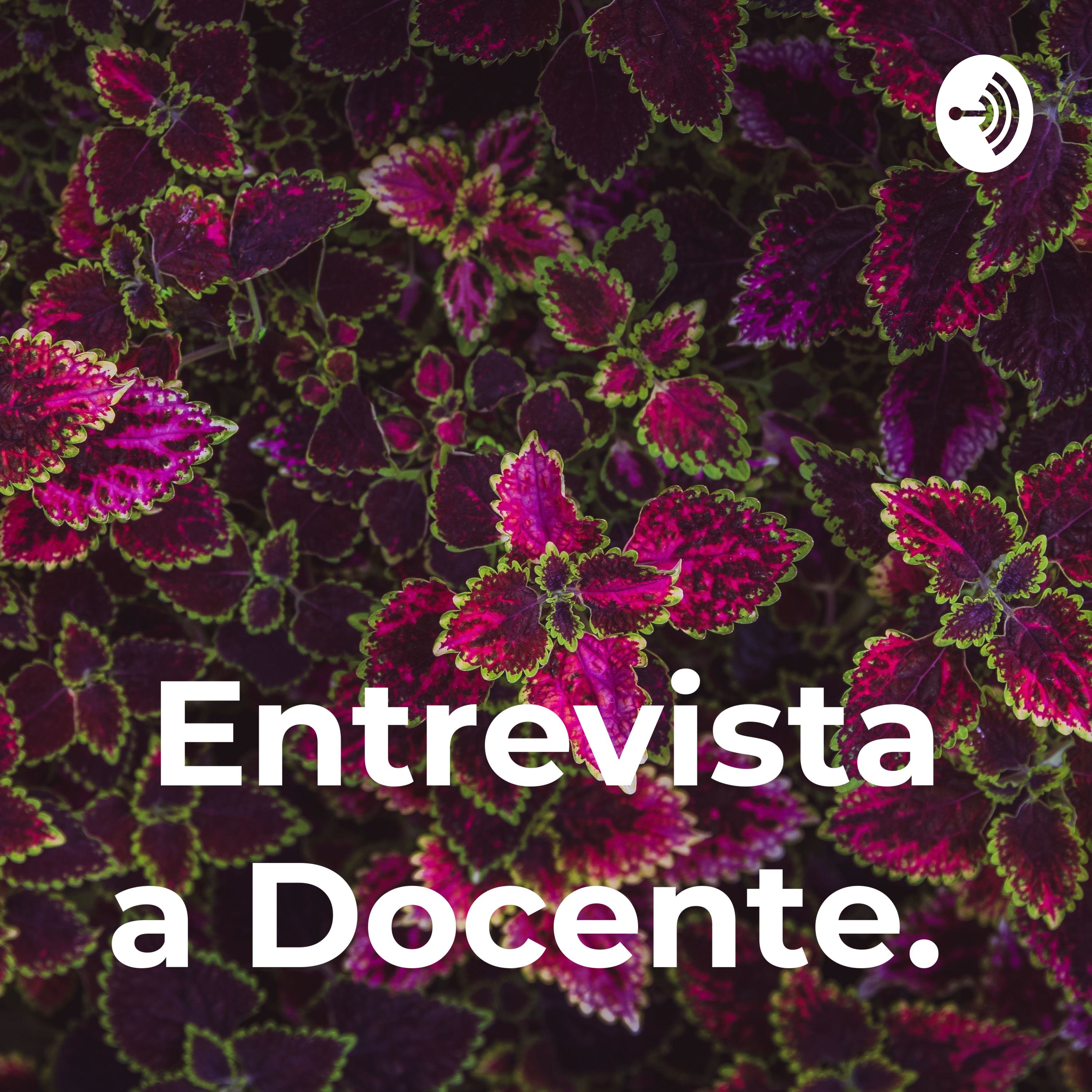 Entrevista a Docente. podcast artwork