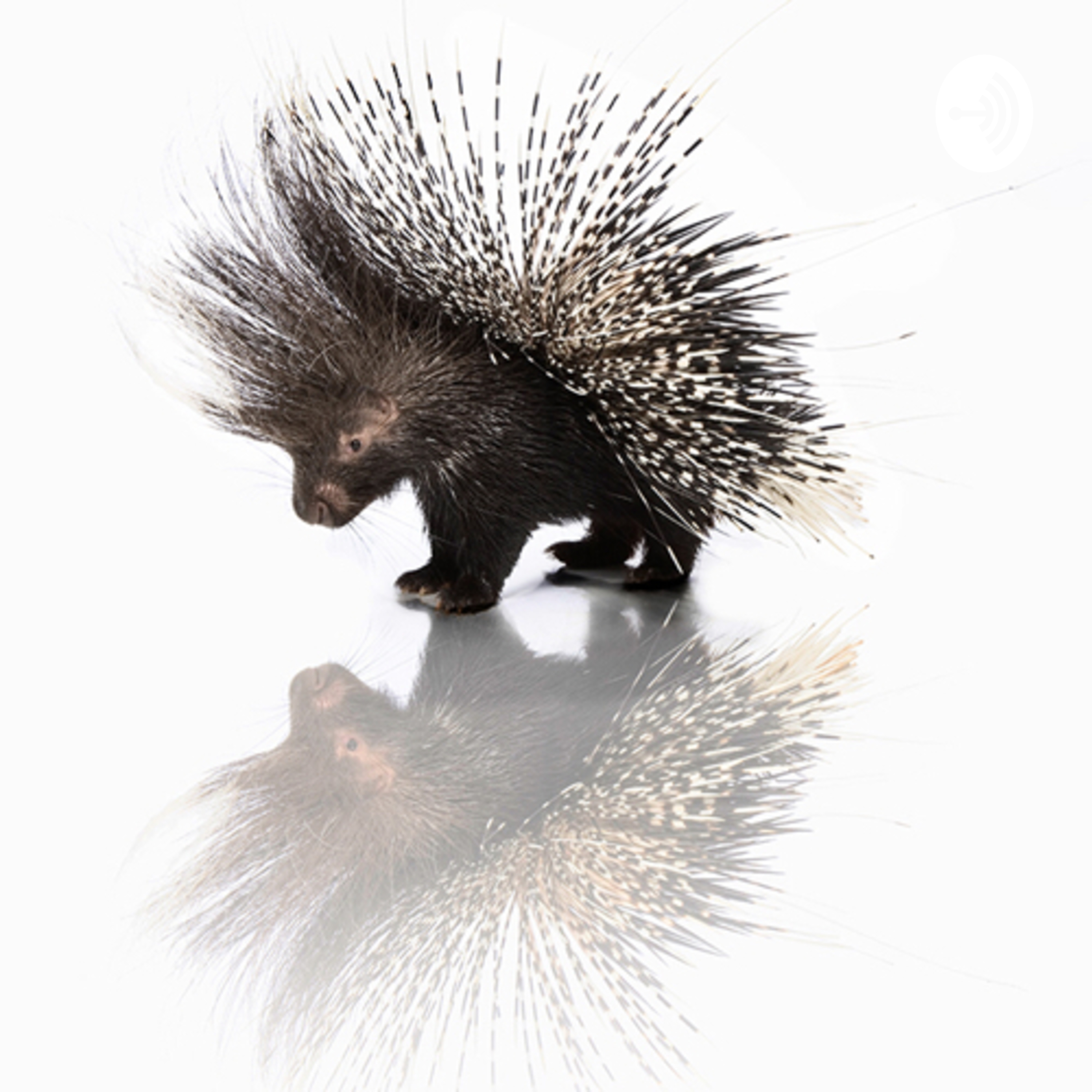 How to Move Self-Awareness to Self-Improvement