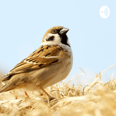 Oor Kuruvi • A podcast on Spotify for Creators