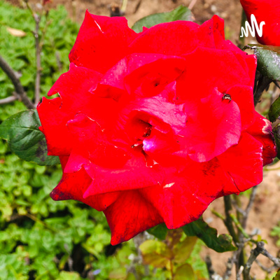 Please fund me part 3/3