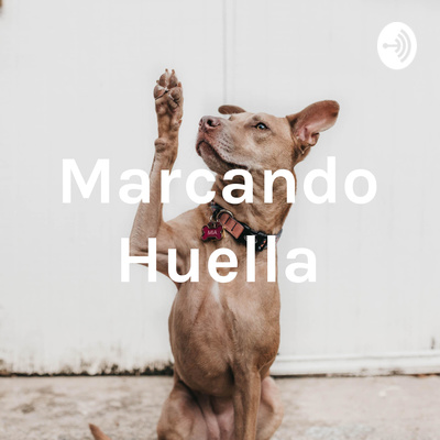 E#07 - 5 beneficios de esterilizar a tu perro o gato