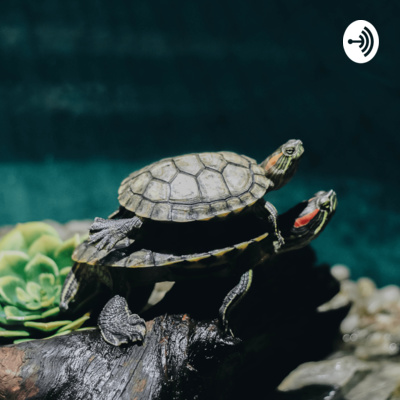 Season 2 Episode 6 - Society and Judgement with Hengzhi Season 2 Episode 6 - Society and Judgement with Hengzhi