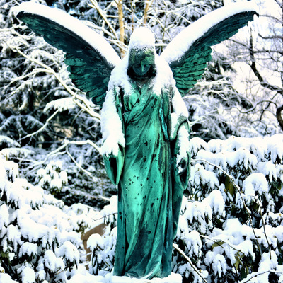 Upcoming Episodes in 2022!