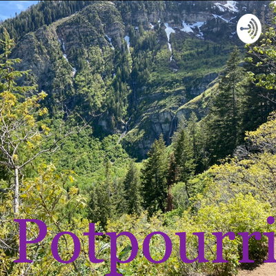 The Chicken Nugget Dieter The Chicken Nugget Dieter