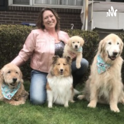 The Value of Having a Professional Pet Sitter