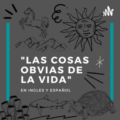 Book The Little Prince in Spanish  episode artwork