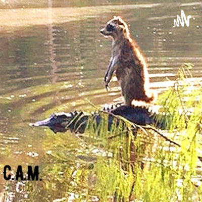 Muscle cars and IG Models