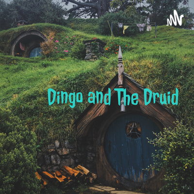 Dingo and The Druid: Q&A