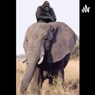 Elephant Vs Gorilla By Livin In The Zoo