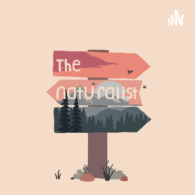 02 Announcement and Talking about Forest Cleanups