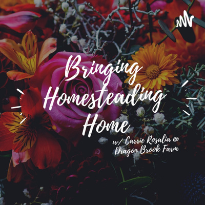 Episode 1: Defining Homesteading and it's Core Principles