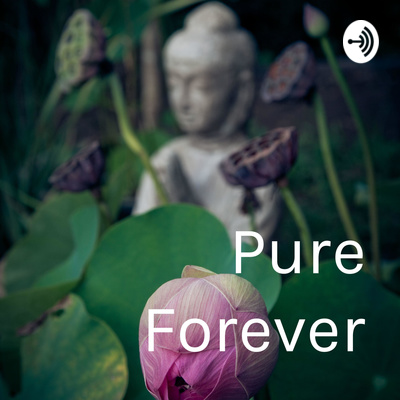 Buddhist Dharma Talks By Venerable Wuling By Pure Forever S Podcast