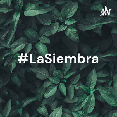 #LaSiembra: emprendimiento, medio ambiente y noticias de actualidad nacional e internacional.
