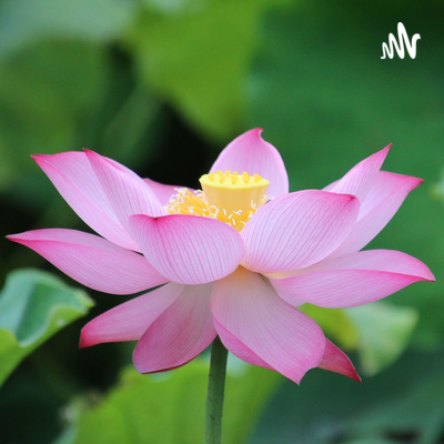 15_Khai Thị Pháp Môn Niệm Phật 02 (Sư Ông Vạn Đức)