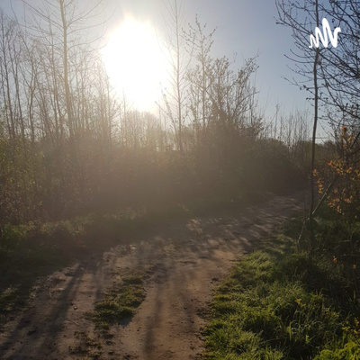KAMER VAN INNERLIJKE STILTE KAMER VAN INNERLIJKE STILTE