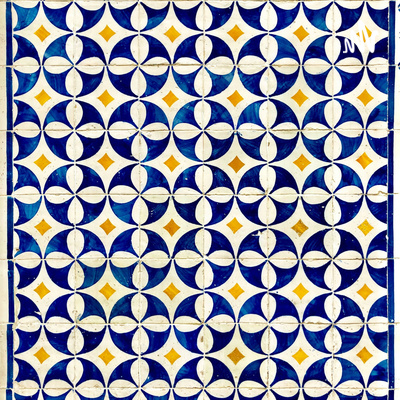 Indian Temples - What Happened to Them ~ Sitaram Goel