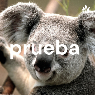 prueba