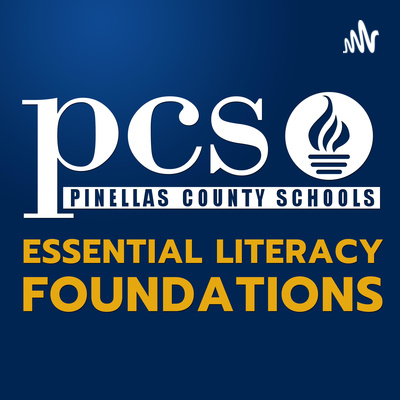 Fluency, vocabulary and comprehension