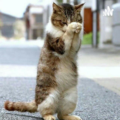 کتاب همه میمیرند قسمت هفدهم