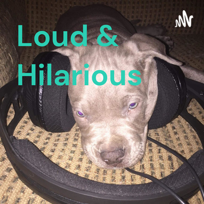 Loud & Hilarious