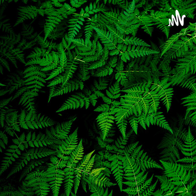 An Introduction to the Hear A Text podcast An Introduction to the Hear A Text podcast