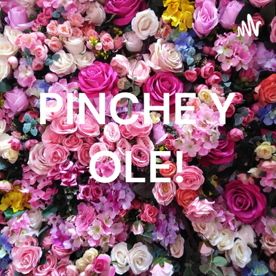 PINCHE Y OLE!