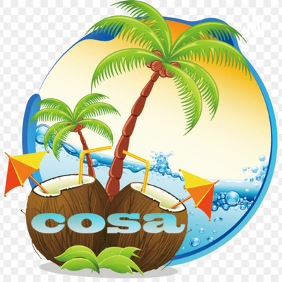 Digital future of coconut sellers