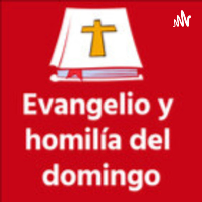 Evangelio y homilía del domingo