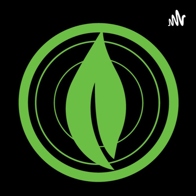 03. Freedom Week 2 - The Power of Words