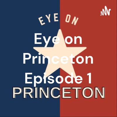 Eye on Princeton - Princeton, Texas