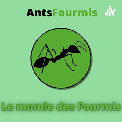 Comment débuter un élevage de fourmis - Raconter une histoire autour de ses fourmis | Feat Fourmi Des Plaines #1