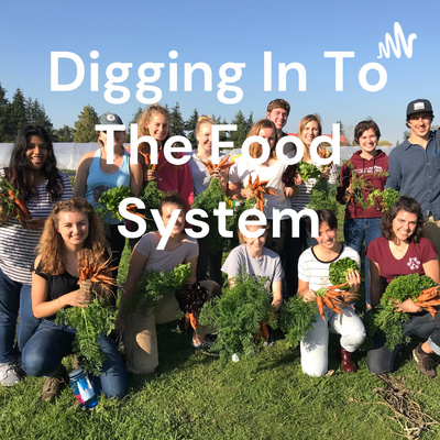 Digging In To The Food System
