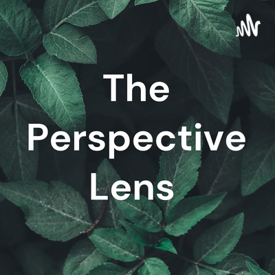 Introduction to the perspective lens