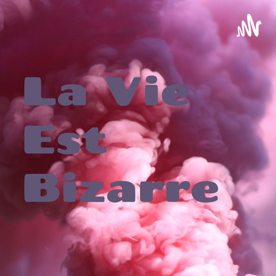 La Vie Est Bizarre