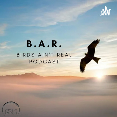 Birdz Ain\'t Real