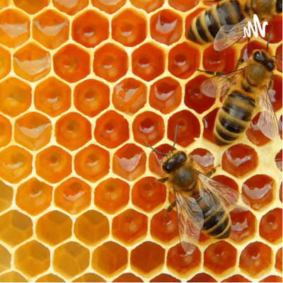 Episode 2: Frank Golbeck: A Golden Coast Mead Journey Pt.2 Episode 2: Frank Golbeck: A Golden Coast Mead Journey Pt.2