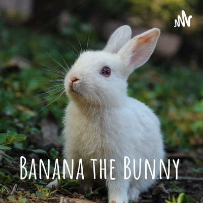Banana the Bunny