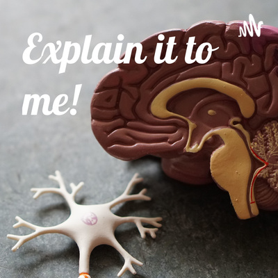 "Upper vs Lower Motor Neuron"