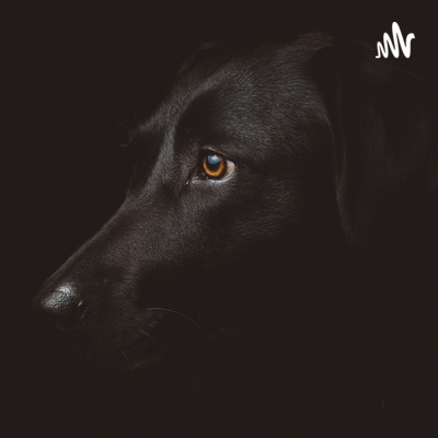 #1 ソフトウェアエンジニアという職種について　働き方/環境/給与