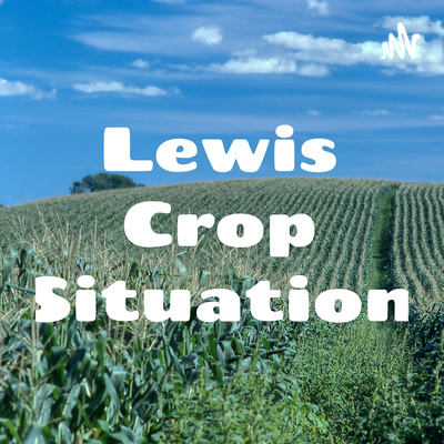 Lewis Crop Situation