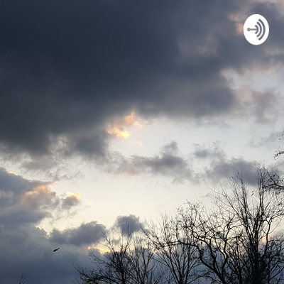 The Sewol Ferry Accident of 2014 The Sewol Ferry Accident of 2014