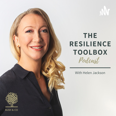 The Resilience Toolbox
