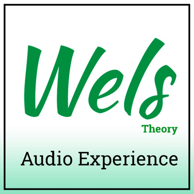 Wels Theory - Audio Experience