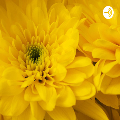 CALMING ASMR • A podcast on Spotify for Creators