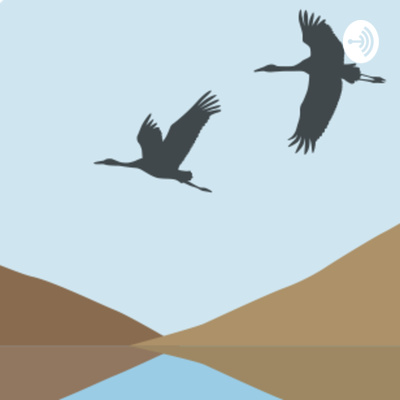 Currently playing episode